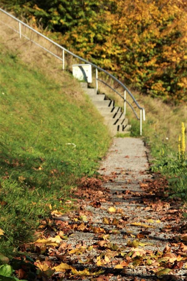 Letniskowa 10 Villa Czernichow  Esterno foto