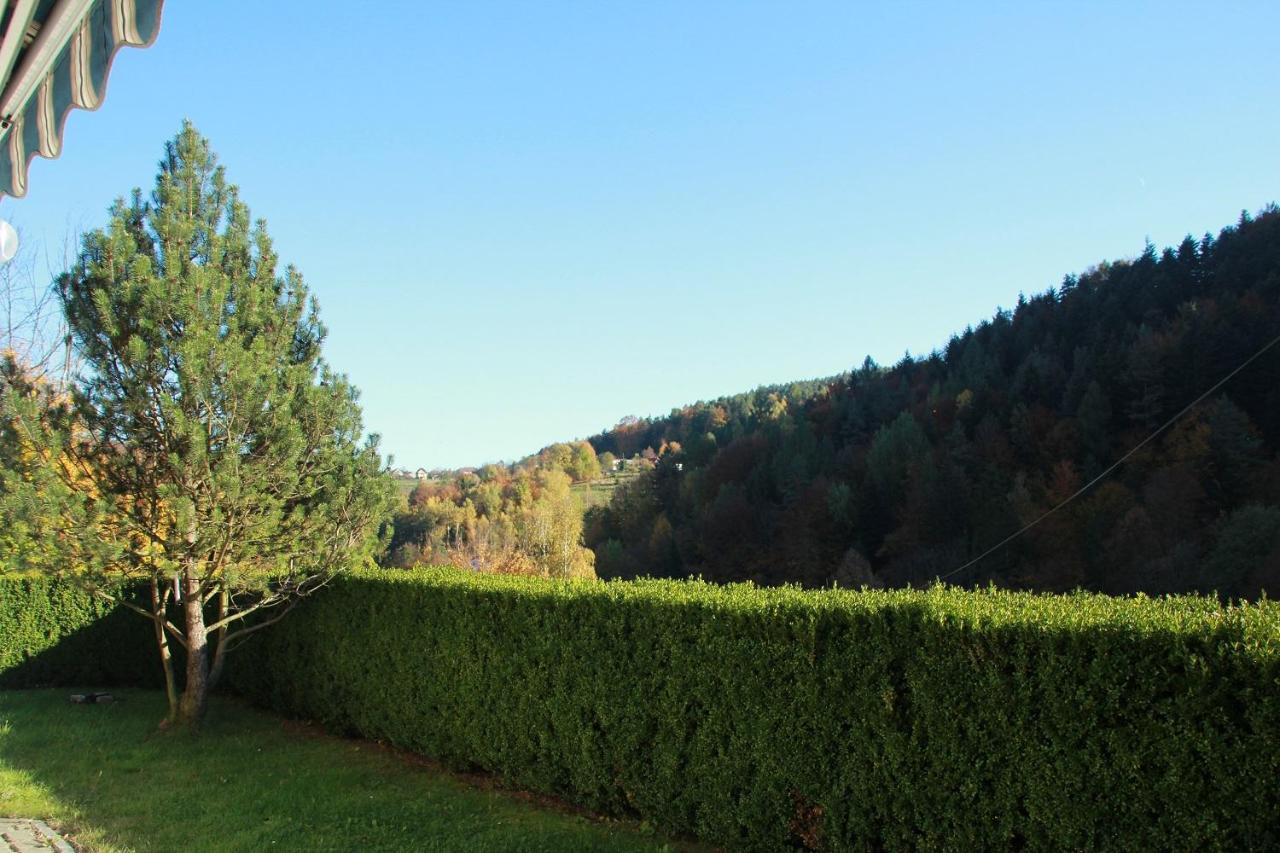 Letniskowa 10 Villa Czernichow  Esterno foto