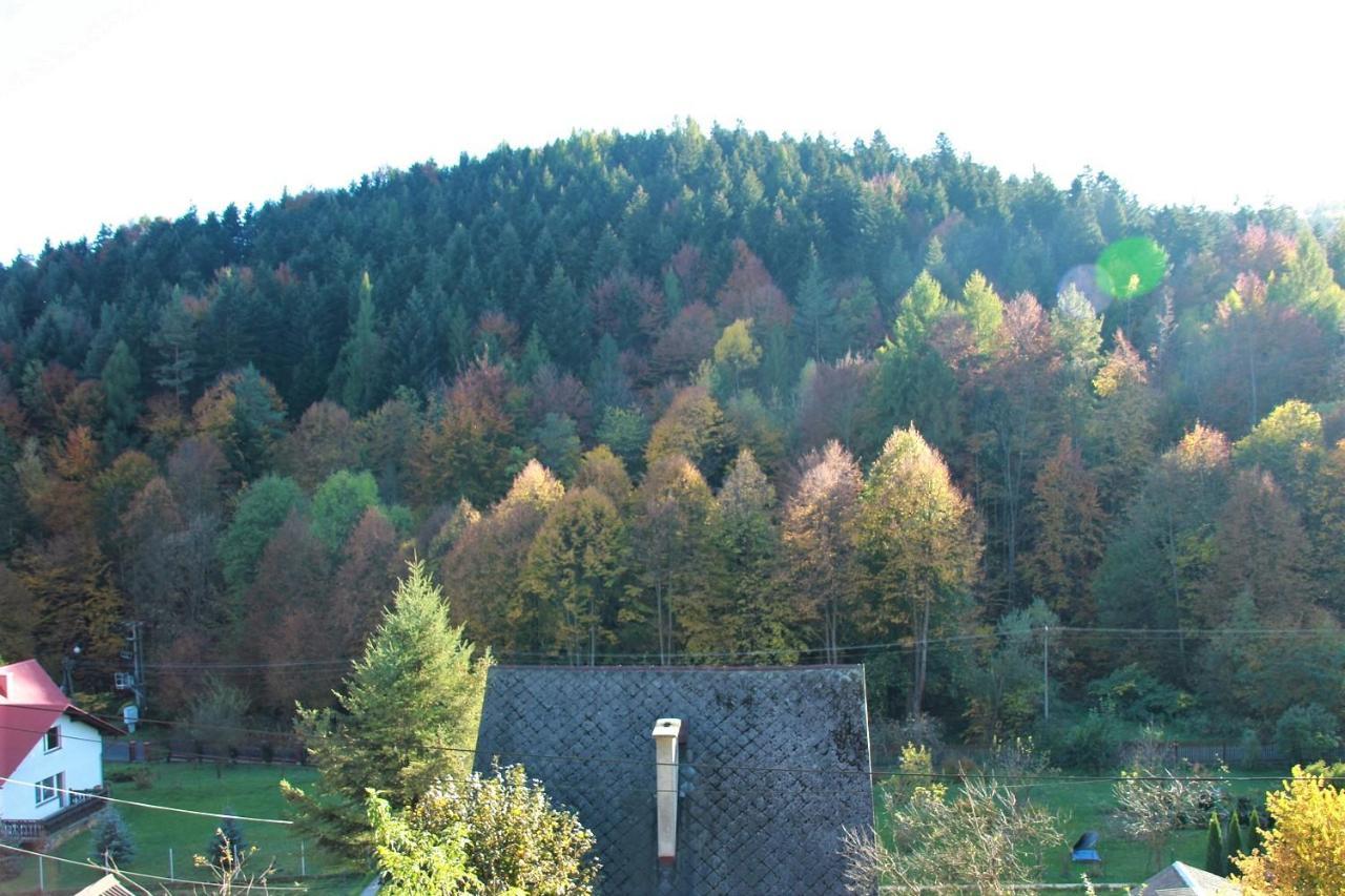 Letniskowa 10 Villa Czernichow  Esterno foto